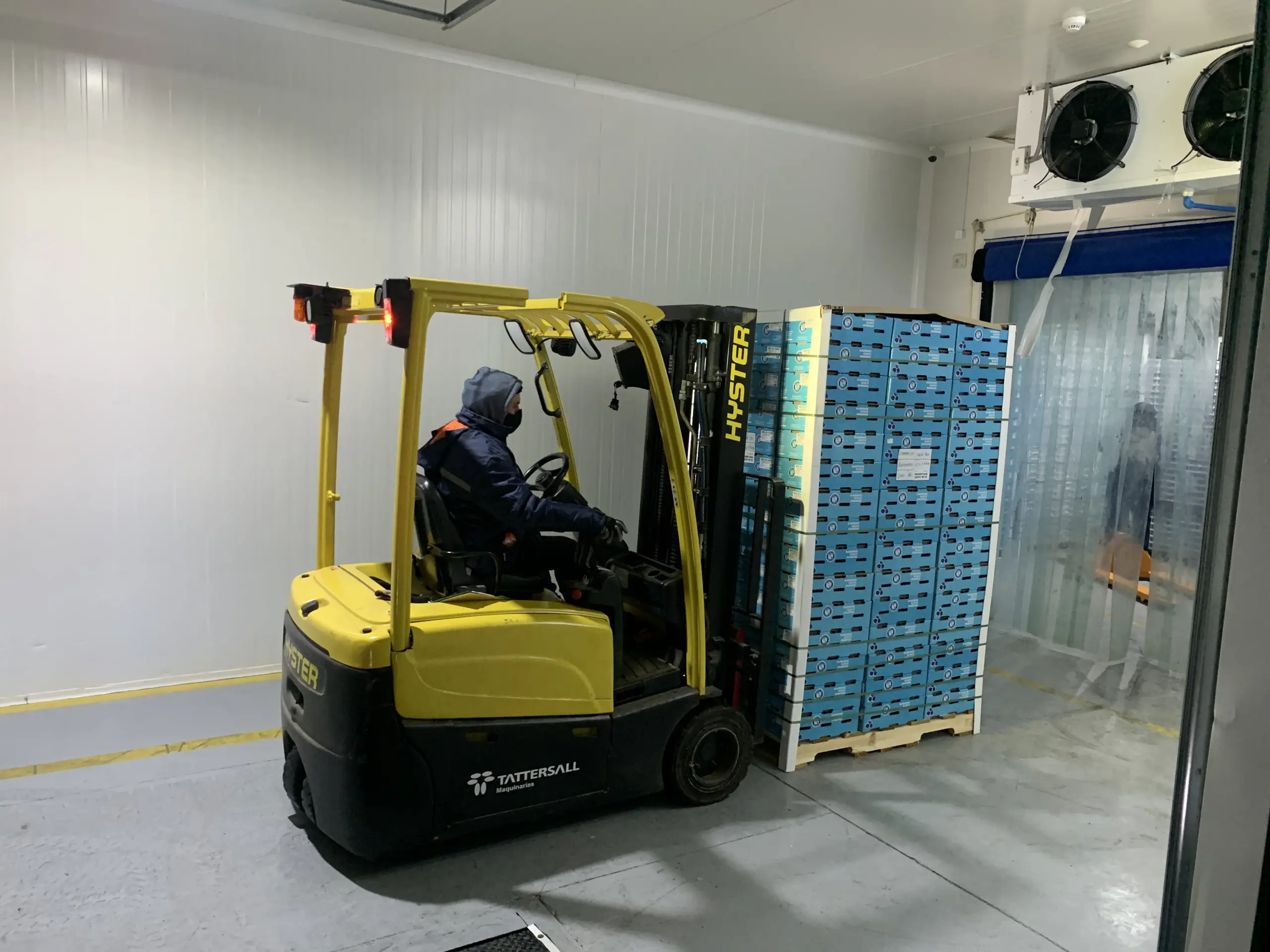 Cold Chain Logistics