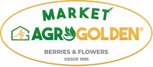 AgroGolden Logo
